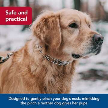 Herm Sprenger Ultra-Plus Dog Training Collar 20 Inch Chrome