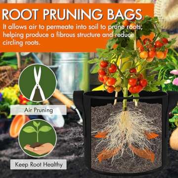 Gardzen 10-Pack Grow Bags - 3 Gallons Heavy Duty Cloth Pots