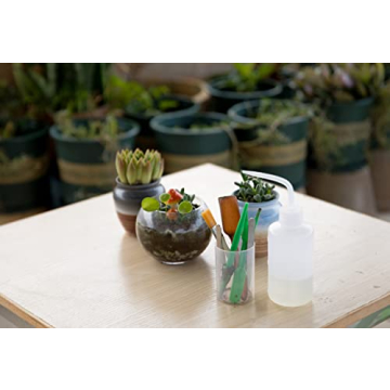 Affordable 7pc Succulent Gardening Tool Set for Beginners