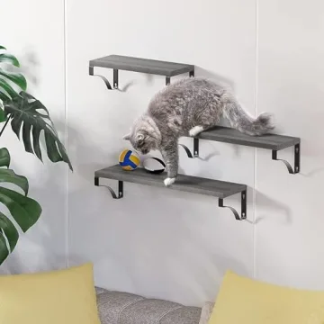 Stylish Amada Floating Wall Shelves Set of 3 for Home