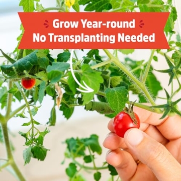 Back to the Roots Cherry Tomato Planter Kit for Home Gardening