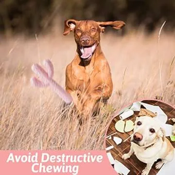MewaJump Dog Chew Toys, Tough Rubber Dog Toys for Aggressive Chewers, Cactus Dog Toys for Training and Cleaning Teeth, Pink Cute Dog Toys for Medium/Large Dog