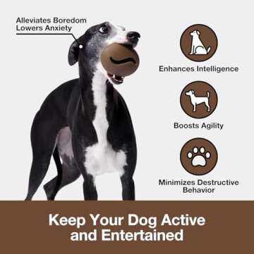 VETRESKA Dog Puzzle Toy, Interactive Dog Toy Ball for Treat Dispensing, Dog Enrichment Snoop Chew Toy, Durable Rubber Fetch Toy Dog Ball, Dog Treat Ball for Teething/Slow Feeder/IQ Training/Playing