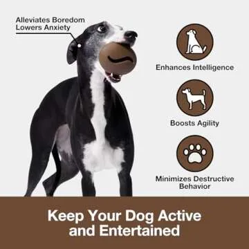 VETRESKA Dog Puzzle Toy, Interactive Dog Toy Ball for Treat Dispensing, Dog Enrichment Snoop Chew Toy, Durable Rubber Fetch Toy Dog Ball, Dog Treat Ball for Teething/Slow Feeder/IQ Training/Playing