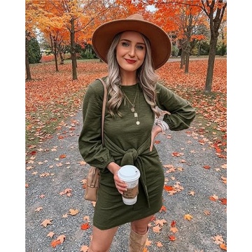 Elegant Lantern Sleeve Short Dress for Any Occasion