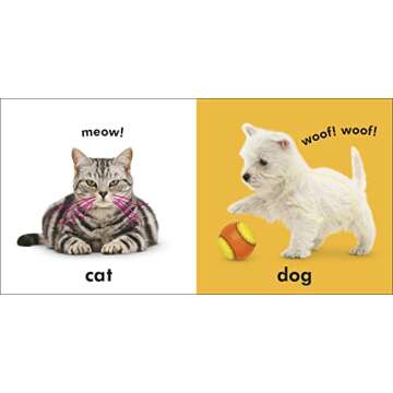 Baby Touch and Feel: First Words