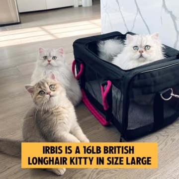 ROVERLUND Airline-Compliant Carrier for Pets Up to 20 lbs