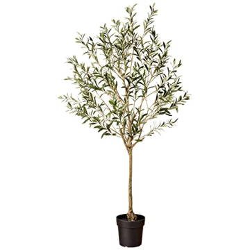 Stone & Beam 5.6ft Artificial Olive Tree for Indoor Use