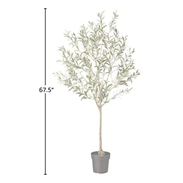 Stone & Beam 5.6ft Artificial Olive Tree for Indoor Use