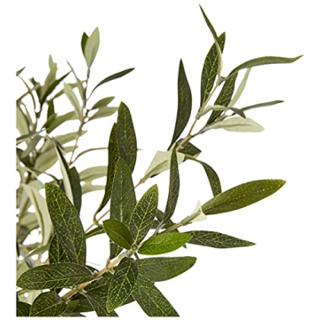 Stone & Beam 5.6ft Artificial Olive Tree for Indoor Use