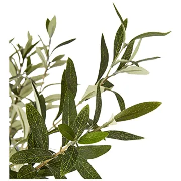 Stone & Beam 5.6ft Artificial Olive Tree for Indoor Use