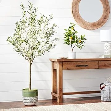 Stone & Beam 5.6ft Artificial Olive Tree for Indoor Use
