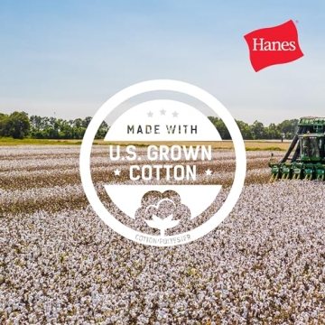 Hanes Beefy T-Shirt Heavyweight Cotton Crewneck Tee
