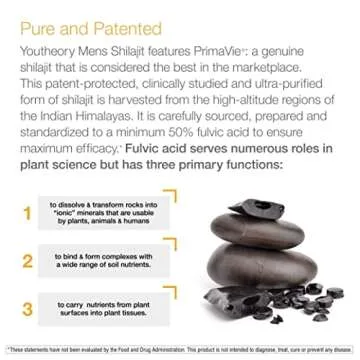 Youtheory Shilajit - 500 mg Shilajit Capsules - Energy Supplement - Supports Stamina & Endurance - Gluten, Dairy & Soy Free - 60 Vegetarian Capsules