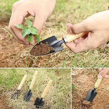 Gardening Tool Set (6 Pcs) Spade Shovel Rake for Garden Plants Care House Plants Flower Pot Cactus Vegetables Kids Indoor Small Plants Mini Medium Plant Tool Succulent Kit