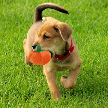 Cute 13 Pack Plush Squeaky Dog Toys for Small Pets