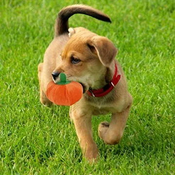 Cute 13 Pack Plush Squeaky Dog Toys for Small Pets