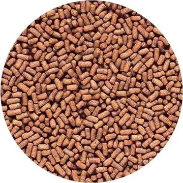 Hikari Saki Fancy Goldfish Food - Premium Nutrition for Ranchu