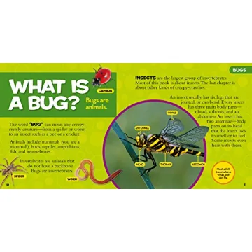 National Geographic Bug Book for Curious Kids