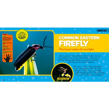 National Geographic Bug Book for Curious Kids