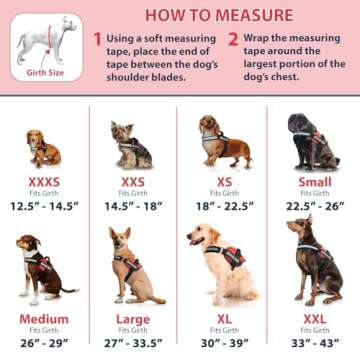 Service Dog Vest with Hook and Loop Straps and Detachable Backpacks - Harnesses in 7 Sizes from XXS to XXL - Service Dog Harness Features Reflective Patch and Comfortable Mesh Design (Black, Large)