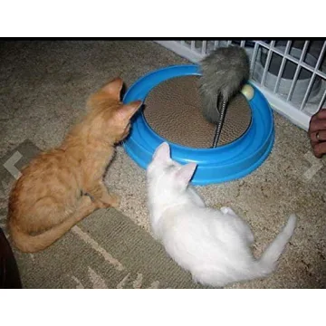 AUOON Cat Scratcher Toy - Interactive Play Fun