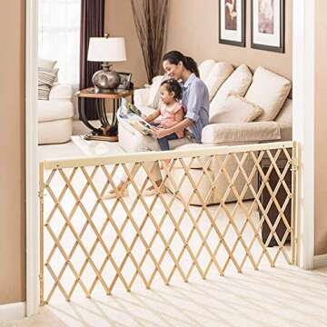 Evenflo Expansion Walk Thru Room Divider Gate