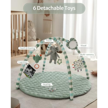 Blissful Diary Baby Play Gym for Sensory & Motor Skills