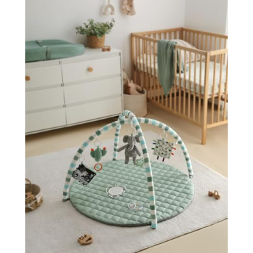 Blissful Diary Baby Play Gym for Sensory & Motor Skills