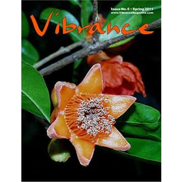 Vibrance no. 6 (Vibrance Magazine)