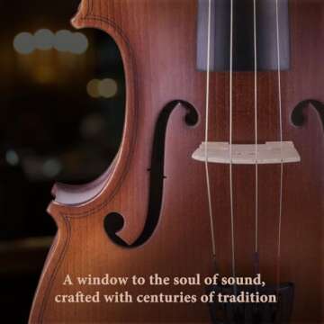 ALLSET 4/4 Stradivari Violin Set for Beginners