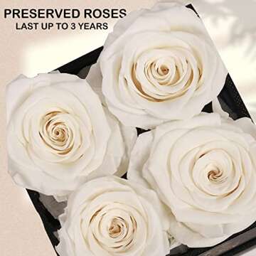 UFOREVER ROSES 4-Piece Preserved Flowers Gift for Her