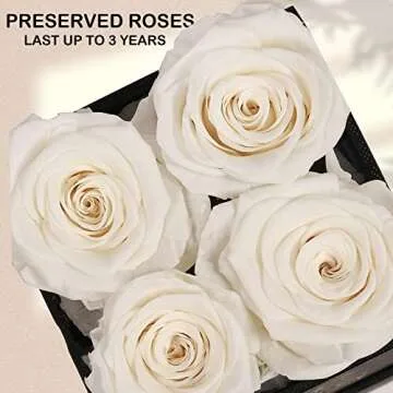 UFOREVER ROSES 4-Piece Preserved Flowers Gift for Her