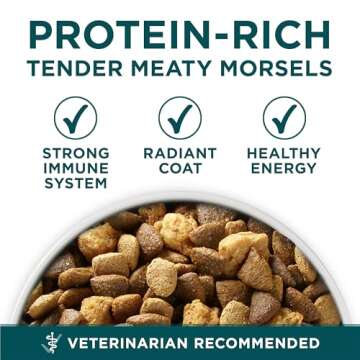 Purina ONE Plus Large Breed Puppy Food Dry Formula - 31.1 lb. Bag