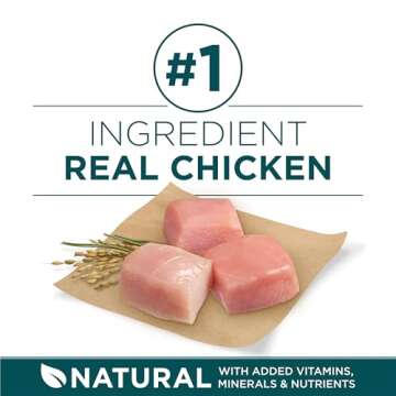 Purina ONE Plus Large Breed Puppy Food Dry Formula - 31.1 lb. Bag