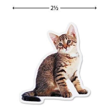 Current Kittens Photo Sticker Variety Pack - 50 Stickers