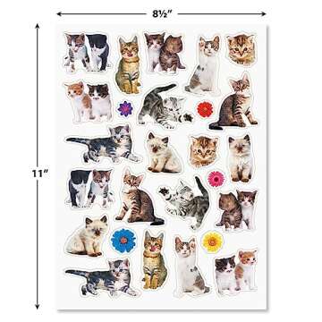 Current Kittens Photo Sticker Variety Pack - 50 Stickers