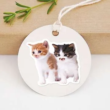 Current Kittens Photo Sticker Variety Pack - 50 Stickers