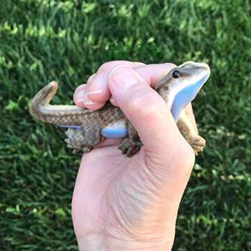 Palm Pet Reptile Cookie Cutter Set- Snakes and lizard