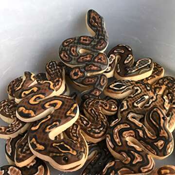 Palm Pet Reptile Cookie Cutter Set- Snakes and lizard