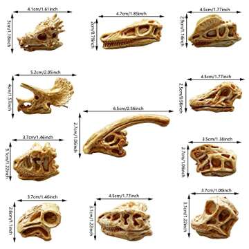 PPXMEEUDC 35PCS Dinosaur Fossil Skeleton Toys for Fascinating Play and Learning