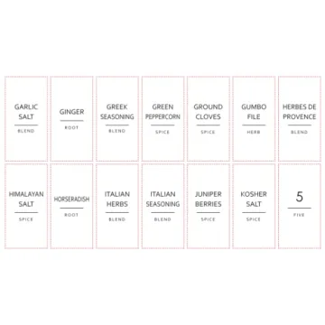 Stylish Talented Kitchen 140 Spice Jar Labels for Organization