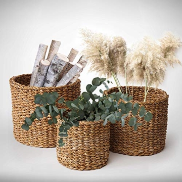 Napa Home & Garden Seagrass Baskets Set of 3