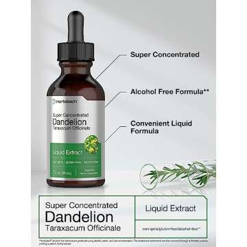 Horbäach Dandelion Root Extract | 2 fl oz | Super Concentrated | Alcohol Free Liquid Tincture | Vegetarian, Non-GMO, Gluten Free