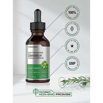 Horbäach Dandelion Root Extract | 2 fl oz | Super Concentrated | Alcohol Free Liquid Tincture | Vegetarian, Non-GMO, Gluten Free