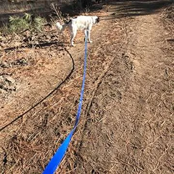 Waterproof Long Leash Durable Dog Recall Training Lead Great for Outdoor Hiking, Training, Yard, Beach and Swimming (Blue, 30ft)
