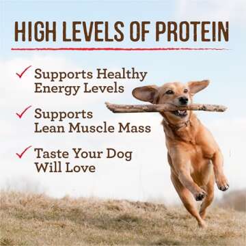 Merrick Grain Free Wet Dog Food, Premium Gluten Free Canned Adult Dog Food, Thanksgiving Day Dinner - (Pack of 12) 12.7 oz. Cans