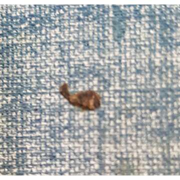 The Oxford History of the American People Comprehensive Guide