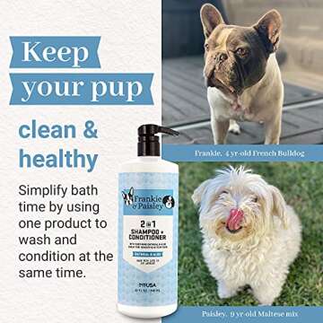 Frankie & Paisley 2-in-1 Soothing Dog Grooming Shampoo and Conditioner for Dry or Itchy Skin and Allergy Relief with Oatmeal and Natural Aloe Vera - 32 fl. Oz