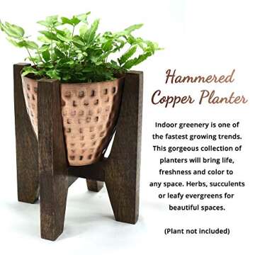 Olive + Crate ExquisiteHome Indoor Planters Handmade from Metal, Small Standing Planter Pots for Plants Indoor, Suitable for Succulents, Herbs, and Balcony Plant Pots